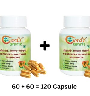 CORDY AMRIT Cordyceps Militaris(keedajadi) Capsules 60*2  (2 x 60 Capsules)