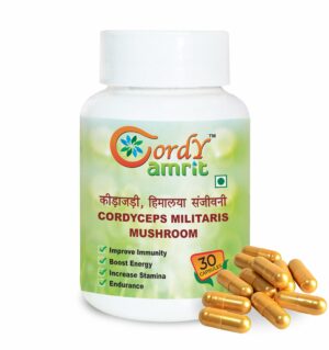 CORDY AMRIT Cordyceps Militaris (keedajadi) Capsules  (30 Capsules)