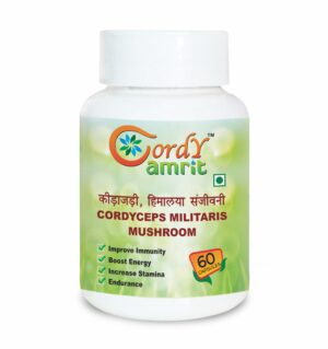 CORDY AMRIT Cordyceps Militaris(keedajadi) Capsules  (60 Capsules)